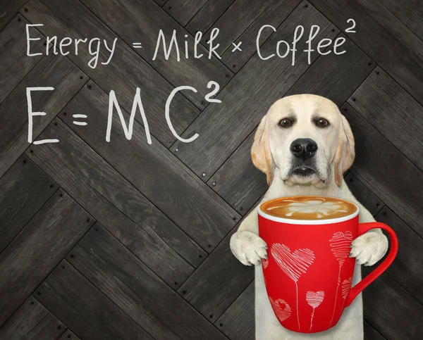 Okul tahtasındaki komik formüllü bir köpek elinde kırmızı bir fincan kahve tutuyor. Beyaz arka plan. İzole edilmiş.