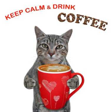 Gri bir kedi kırmızı bir fincan kahve tutar. Sakin ol ve kahve iç. Beyaz arka plan. İzole edilmiş.