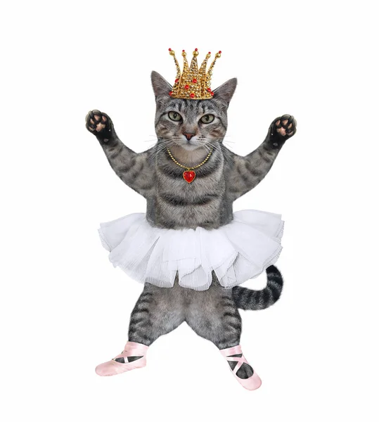 Gato Gris Ropa Bailarina Ballet Con Una Corona Dorada Está — Foto de Stock