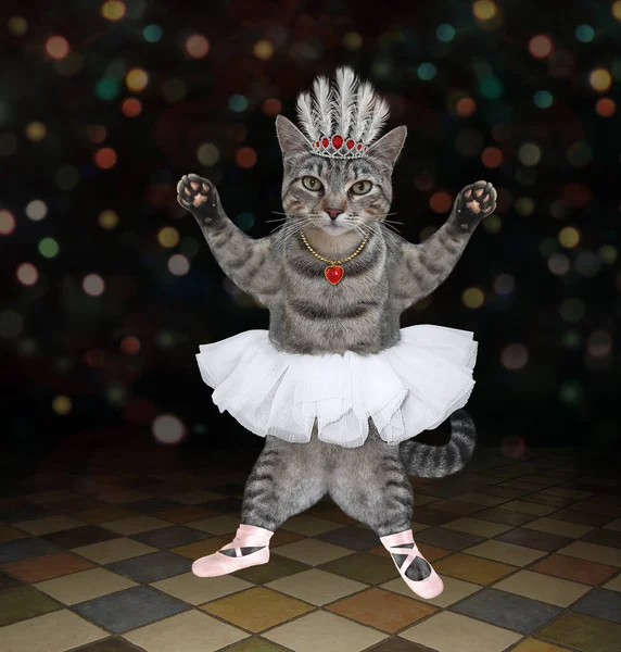 Сцене Танцует Серая Кошка Балетной Одежде Диадемой — стоковое фото