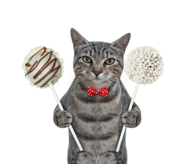 Eine Graue Katze Roter Fliege Hält Zwei Große Cake Pops — Stockfoto
