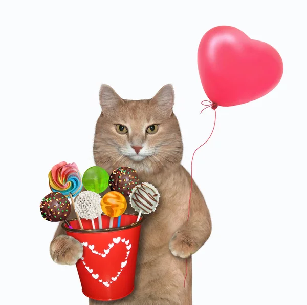 Eine Beige Katze Hält Einen Roten Eimer Mit Süßigkeiten Und — Stockfoto