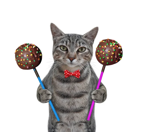 Eine Graue Katze Roter Fliege Hält Zwei Große Schokoladenkuchen Der — Stockfoto