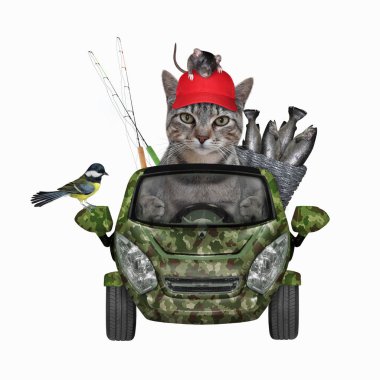 Gri bir balıkçı, içi balık dolu metal bir kovayla araba kullanıyor. Beyaz arka plan. İzole edilmiş.