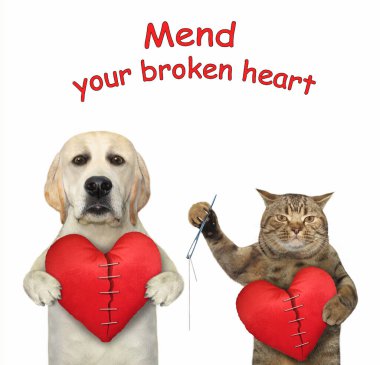 Bir kedi ve bir köpek büyük kırmızı kırık kalpleri onarıyorlar. Beyaz arka plan. İzole edilmiş.