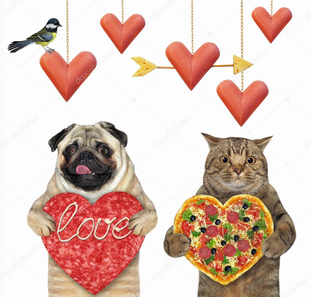 A dog pug and a cat are standing with a heart shaped sausage and a pizza. White background. Isolated.