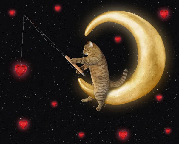 Gato Bege Está Pegando Corações Rubi Com Uma Vara Pesca — Fotografia de Stock