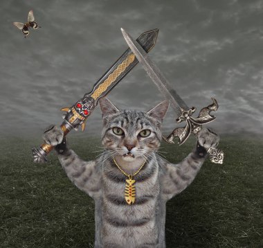 Bir gri kedi savaşçısı çayırda iki çapraz kılıç tutuyor..