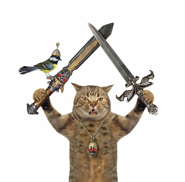 Um gato com uma espada e um escudo