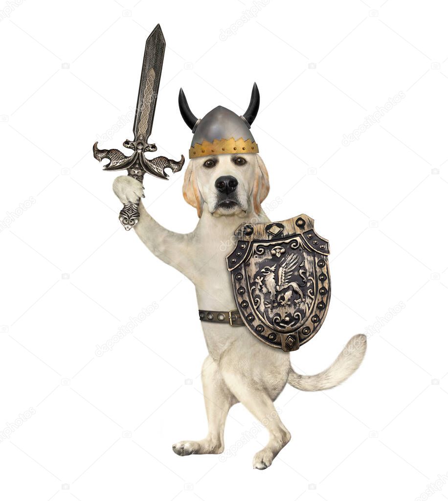 A dog in a viking horned helmet is armed with a shield and a sword. White background. Isolated.