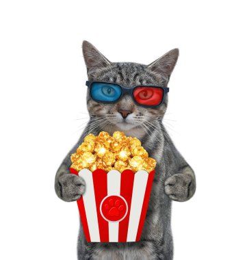 3D gözlüklü gri bir kedi patlamış mısır yiyor ve film izliyor. Beyaz arka plan. İzole edilmiş.