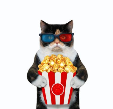3D gözlüklü renkli bir kedi patlamış mısır yiyor ve film izliyor. Beyaz arka plan. İzole edilmiş.