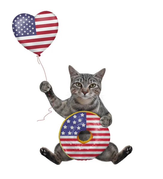 고양이 애국자는 풍선을 깃발처럼 도넛이 — 스톡 사진