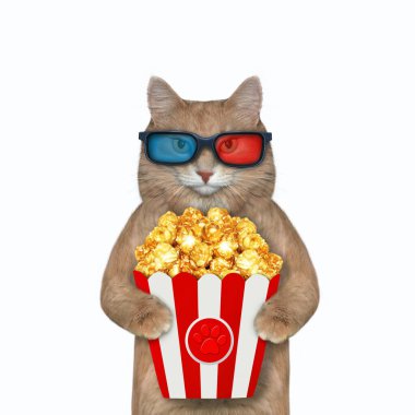3D gözlüklü bej bir kedi patlamış mısır yiyor ve film izliyor. Beyaz arka plan. İzole edilmiş.