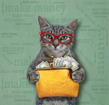 Gözlüklü gri bir kedi içinde dolar olan turuncu deri bir cüzdan tutuyor. Para kazan. Yeşil arkaplan.