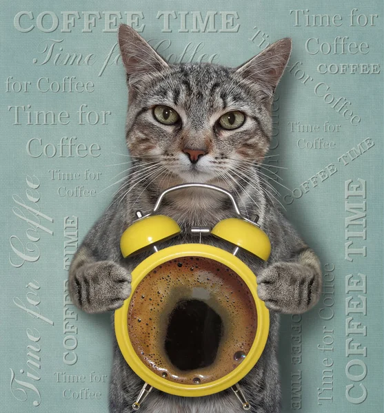 Gray Cat Holds Big Alarm Clock Black Coffee Time Coffee — Stock Photo, Image