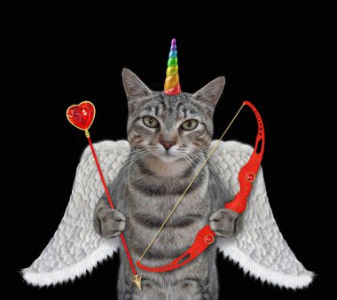 Gri bir kedi tek boynuzlu at meleği bir yay ve bir ok tutuyor. Siyah arka plan. izole.