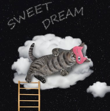 Uyku maskeli gri bir kedi bulut kanepesinde yatıyor. Tatlı rüyalar. Beyaz arka plan. İzole edilmiş.