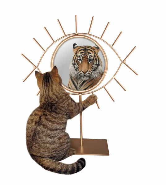 Lion Chat Miroir Images Libres De Droit Photos De Lion Chat Miroir Depositphotos Lion Chat Miroir Images Libres De Droit Photos De Lion Chat Miroir Depositphotos