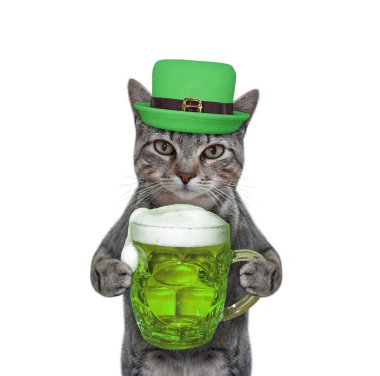Şapkalı gri bir kedi yeşil bira içer. Aziz Patrick Günü. Beyaz arka plan. İzole edilmiş.