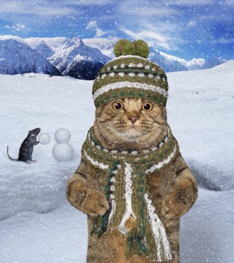 Örgü örmüş bir eşarp ve şapka takmış bej bir kedi kış dağlarında.