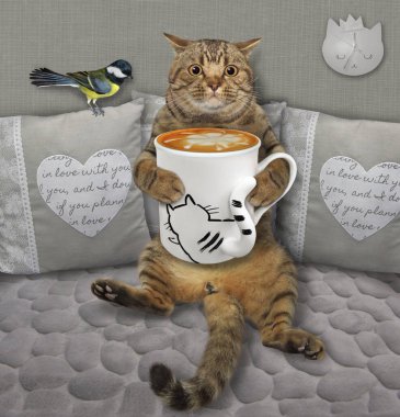 Bej renkli bir kedi, evdeki gri yumuşak divan üzerinde kedi kuyruğu olan bir fincandan kahve içer..