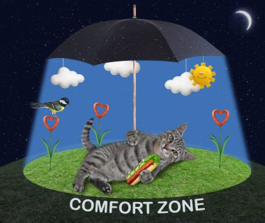 Sosisli bej bir kedi çayırın çimlerinde şemsiyenin altında sosis çiçekleriyle yatıyor. Konfor bölgesi.