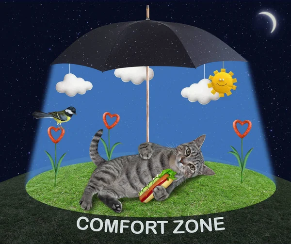 A beige cat with a hot dog is lying on the grass of the meadow with sausage flowers under a umbrella. Comfort zone.