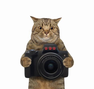 Bej renkli kedi fotoğrafçısının elinde siyah bir fotoğraf makinesi var. Beyaz arka plan. İzole edilmiş.