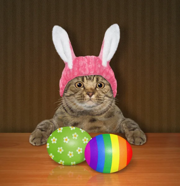 A beige cat in a pink easter bunny hat looks at colored easter eggs.