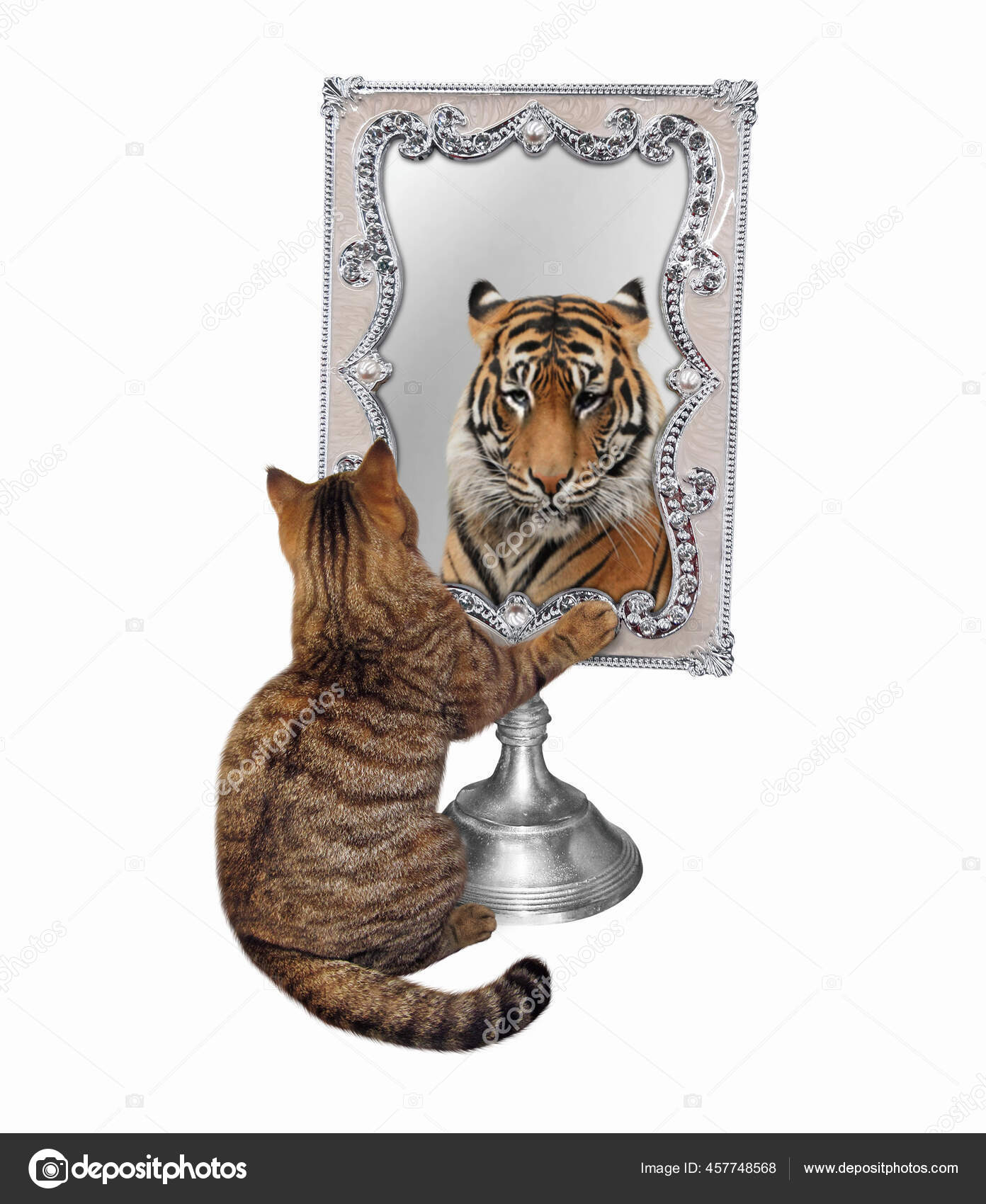 Lion Chat Miroir Images Libres De Droit Photos De Lion Chat Miroir Depositphotos Lion Chat Miroir Images Libres De Droit Photos De Lion Chat Miroir Depositphotos
