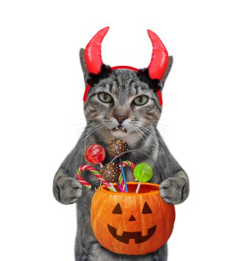 Kırmızı boynuzlu gri bir kedi cadılar bayramı için şeker dolu bir balkabağı kovası tutuyor. Beyaz arka plan. İzole edilmiş.