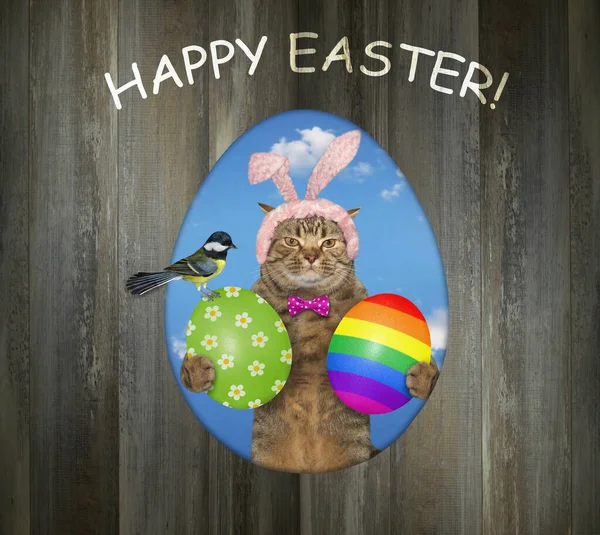 A beige cat in a pink bunny hat with easter eggs is looking out through a hole of a wooden fence. Happy easter.