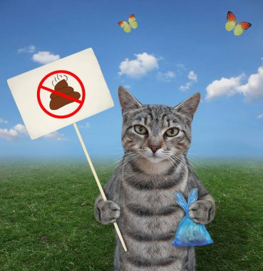 Çayırda gri bir kedi elinde kakalı mavi bir plastik poşet ve hayvan pisliğini temizlemesi gerektiğini söyleyen bir tabela tutuyor..