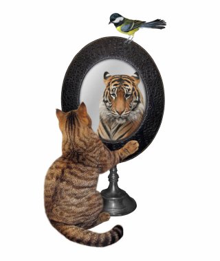 Bir bej kedi oval aynaya bakar. Orada bir kaplan görüyor. Beyaz arka plan. İzole edilmiş.