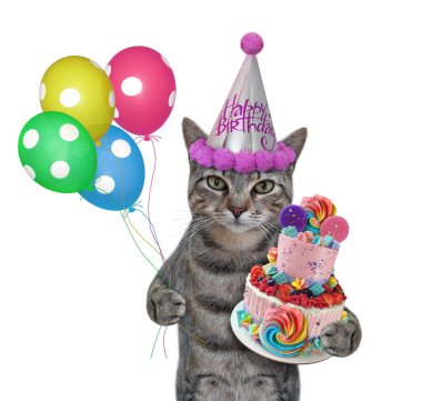 Bayram pastası ve renkli balonlarla parti şapkalı gri bir kedi doğum gününü kutluyor. Beyaz arka plan. İzole edilmiş.