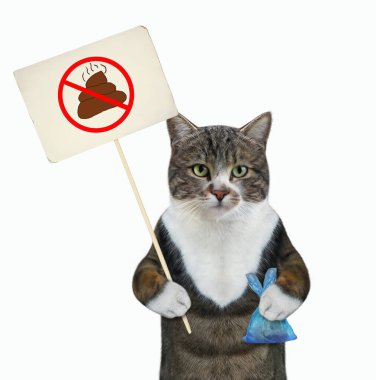 Renkli bir kedi, içinde kaka olan mavi bir plastik poşet ve evcil hayvanlarının arkasını temizleyin yazan bir yasak levhası tutuyor. Beyaz arka plan. İzole edilmiş.