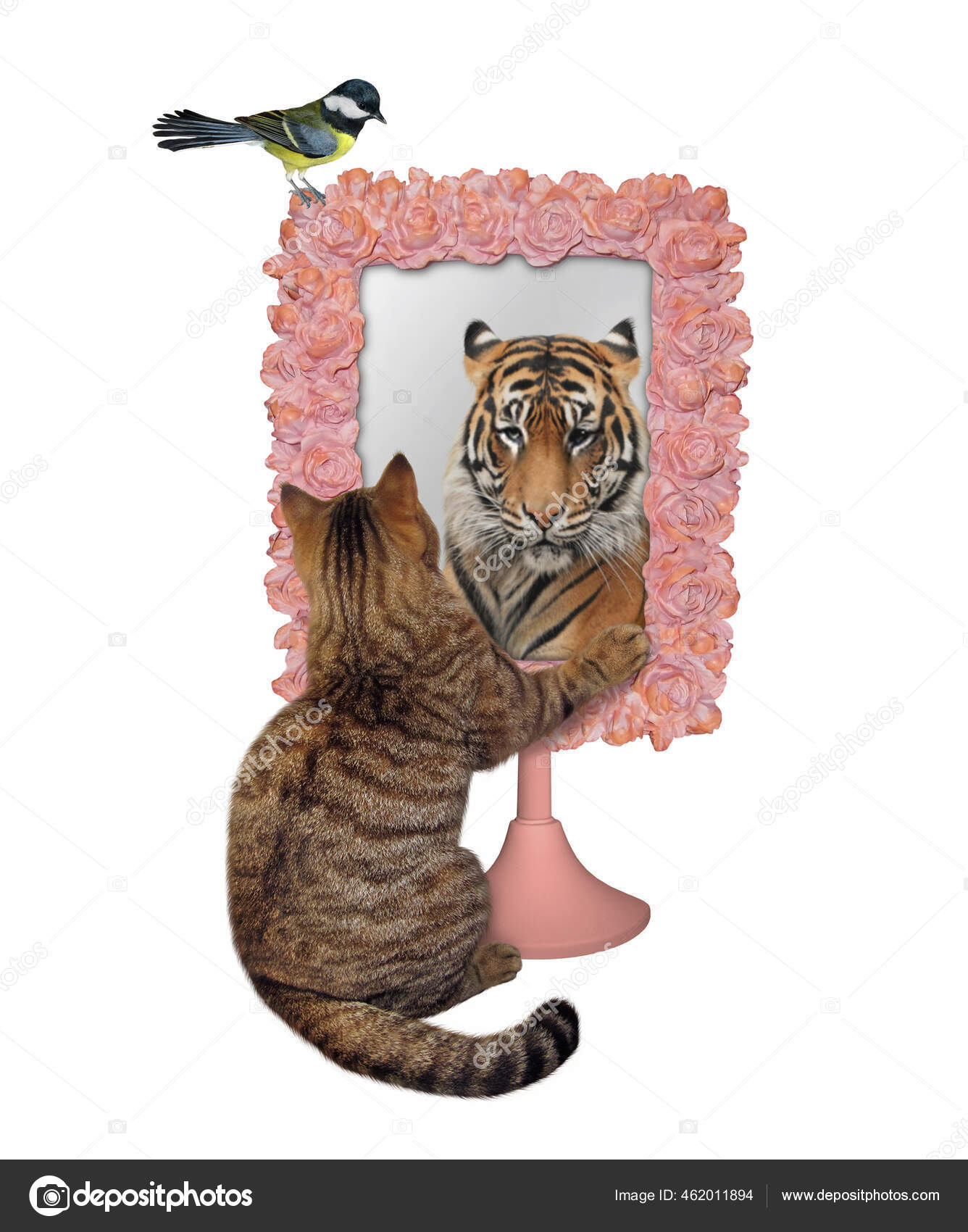 Lion Chat Miroir Images Libres De Droit Photos De Lion Chat Miroir Depositphotos Lion Chat Miroir Images Libres De Droit Photos De Lion Chat Miroir Depositphotos