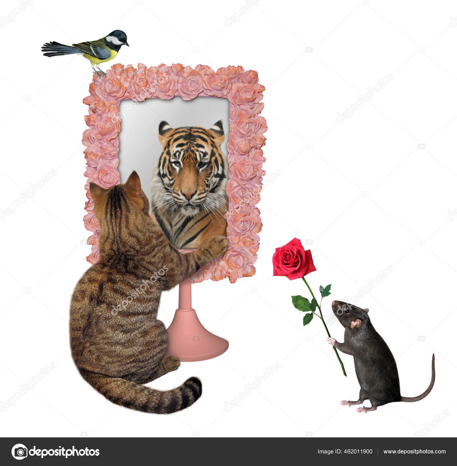 Lion Chat Miroir Images Libres De Droit Photos De Lion Chat Miroir Depositphotos Lion Chat Miroir Images Libres De Droit Photos De Lion Chat Miroir Depositphotos