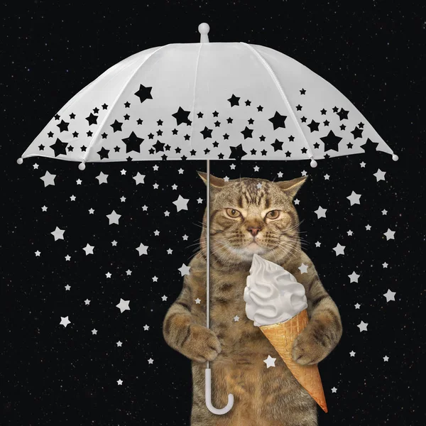 Gato Bege Come Cone Sorvete Sob Guarda Chuva Branco Com — Fotografia de Stock