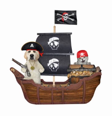 Bir bej kedi ve altın sandıklı bir köpek labrador bir korsan yelkenli gemisindeler. Beyaz arka plan. İzole edilmiş.
