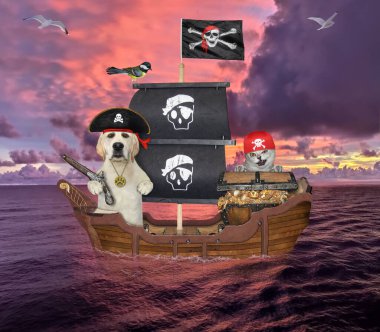 Bej bir kedi ve altın sandıklı bir köpek labrador açık denizde bir korsan yelkenli gemisindeler..