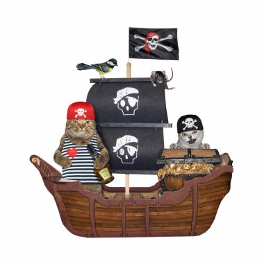 Altın sandıklı iki kedi bir korsan yelkenli gemisindeler. Beyaz arka plan. İzole edilmiş.