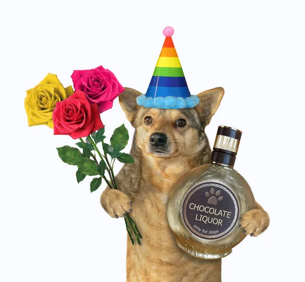 Ένα Μπεζ Σκυλί Ένα Καπέλο Κόμμα Κατέχει Ένα Μπουκέτο Τριαντάφυλλα — Φωτογραφία Αρχείου