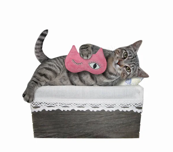 Gray Cat Pink Sleep Mask Lying Wooden Box White Background — Stock Photo, Image