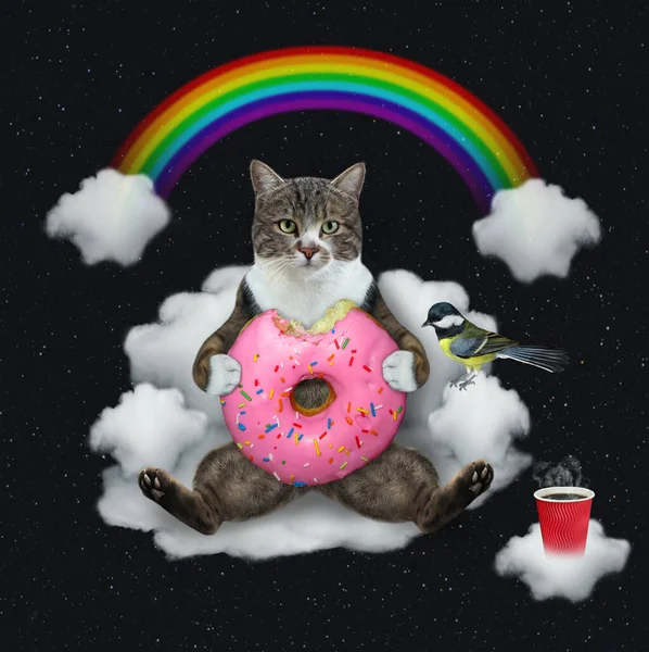 A colored cat with a pink donut sits on a cloudy sofa under a rainbow at night.