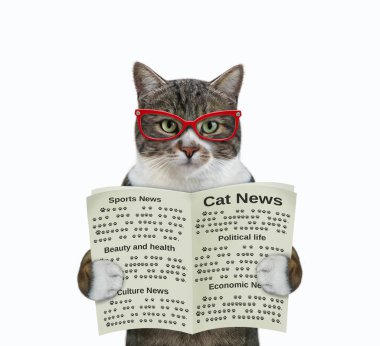 Gözlüklü renkli bir kedi açık bir gazete tutuyor. Beyaz arka plan. İzole edilmiş.