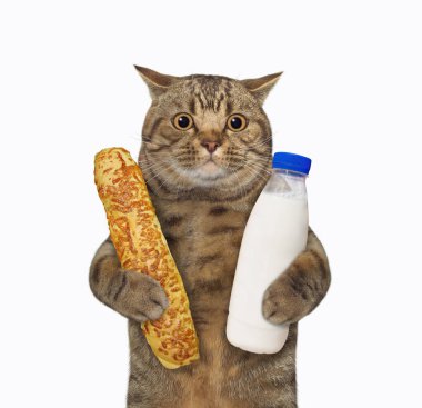 Bir bej kedi peynirli çörek ve bir şişe süt tutuyor. Beyaz arka plan. İzole edilmiş.