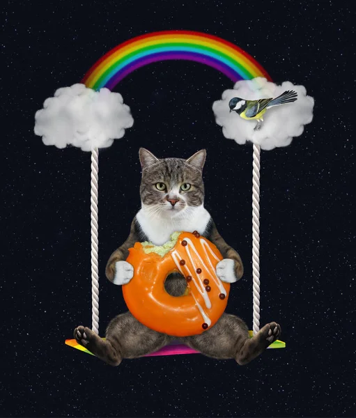 Gato Colorido Com Donut Laranja Senta Balanço Nublado Sob Arco — Fotografia de Stock