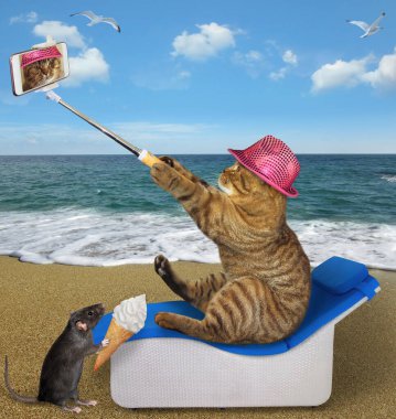 Akıllı telefonlu pembe şapkalı bej bir kedi deniz kenarında güneşlenen bir yerde selfie çekiyor..